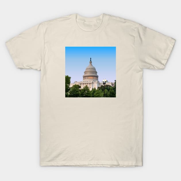 United States Capitol Building T-Shirt by NeilGlover